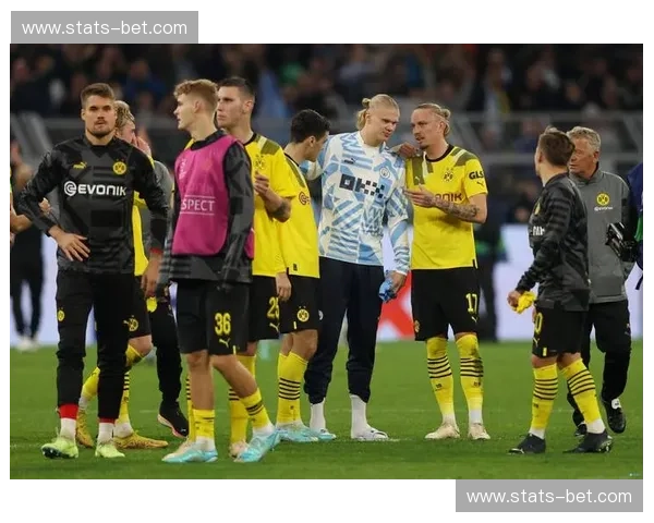 金色的风暴与蓝白的意志:多特vs赫塔,一场关于信仰与征服的绿茵交响诗 金色的风暴与蓝白的意志:多特vs赫塔,一场关于信仰与征服的绿茵交响诗